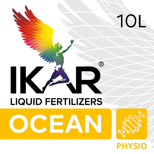 Read more about the article Ikar factory